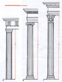 Colonna vertebrale sai come dovrebbe funzionare 1