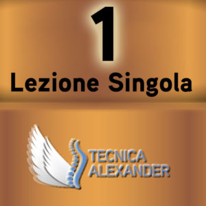 lezione metodo alexander